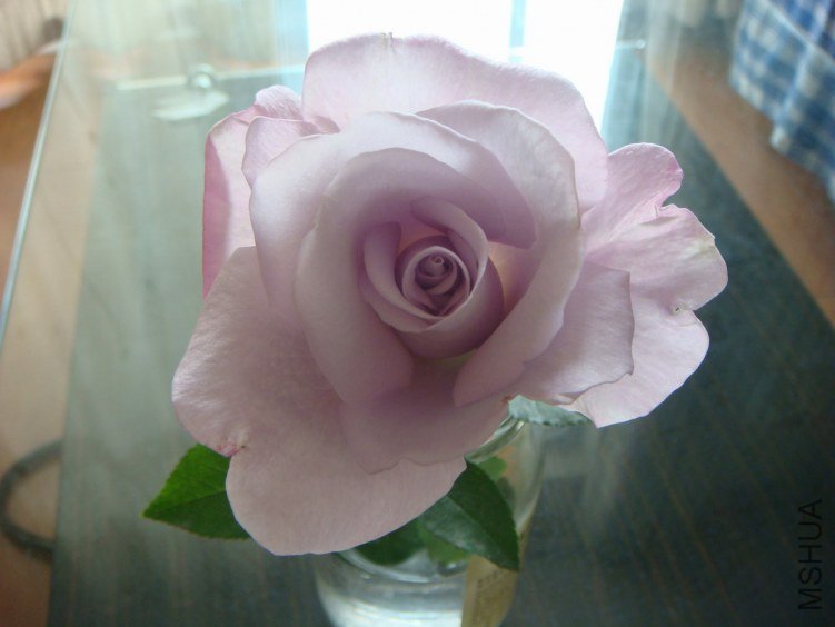 DSC09404.JPG