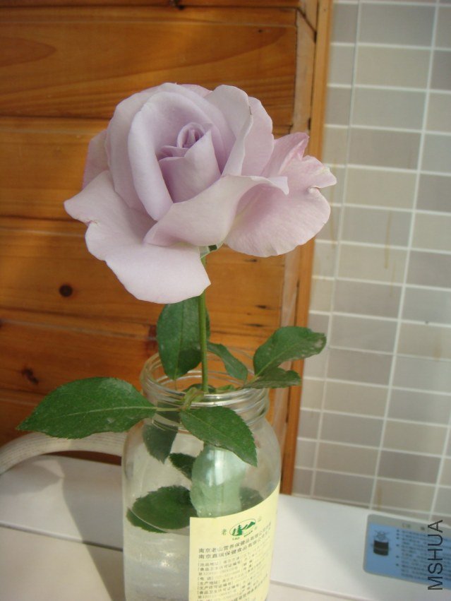 DSC09402.JPG
