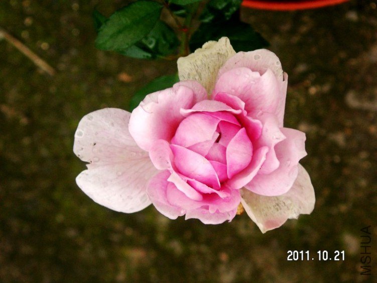 PICT0004.JPG