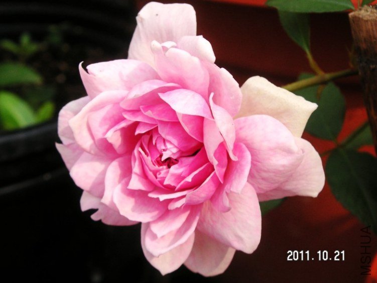 PICT0020.JPG