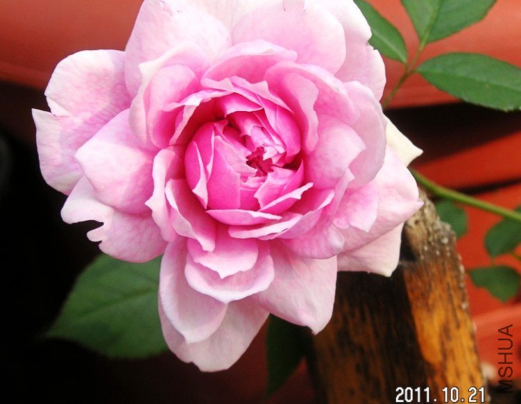 PICT0011.JPG