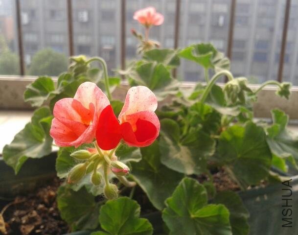 2011-10-21 12.29.35-1.jpg