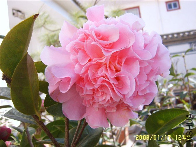 SX2KZMCAWTI5D7CAE4O2Z4CA9EBTT9CA21OWF4CAEYE4DBCATK3U69CAA9KJ27CAKDQMZFCAGYFZVOCA.jpg