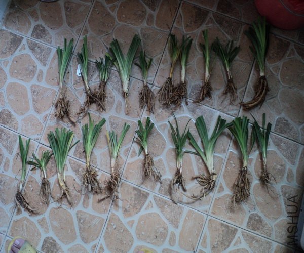 ��Ƭ 321_������С.jpg