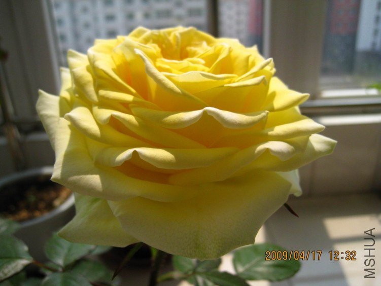 IMG_0080.jpg