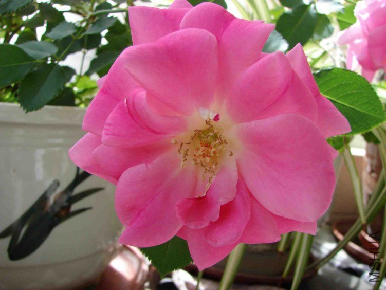DSC00003.JPG