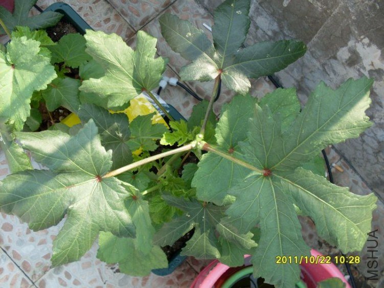 SDC19416_nEO_IMG.jpg