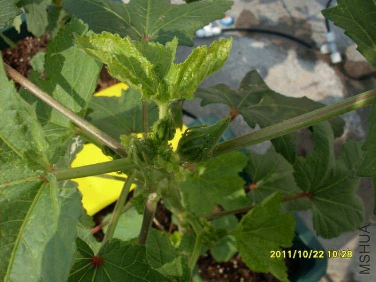 SDC19417_nEO_IMG.jpg