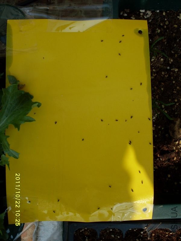 SDC19403_nEO_IMG.jpg
