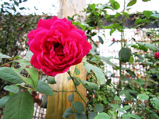 IMG_1920.JPG