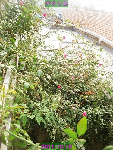 nEO_IMG_��Ƭ 015.jpg