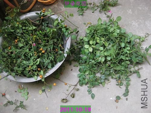 nEO_IMG_��Ƭ 022.jpg