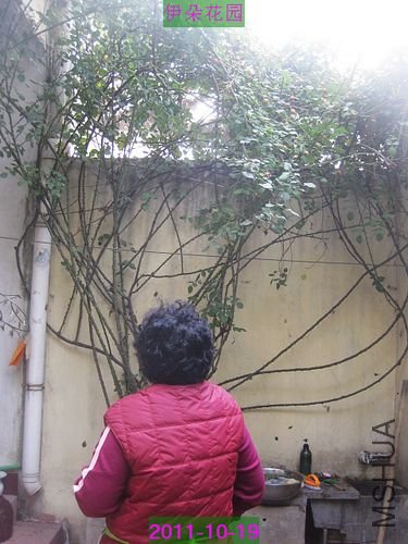 nEO_IMG_��Ƭ 002.jpg