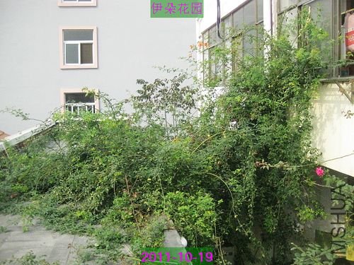 nEO_IMG_��Ƭ 030.jpg