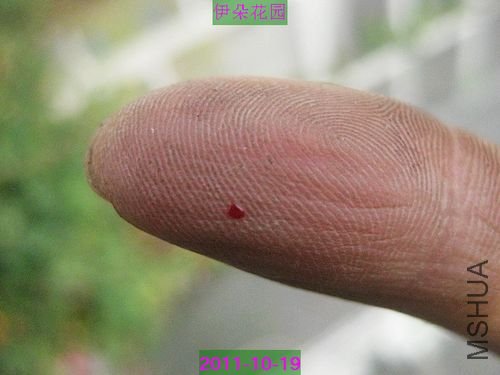 nEO_IMG_��Ƭ 026.jpg