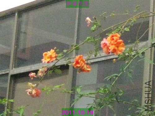 nEO_IMG_��Ƭ 032.jpg