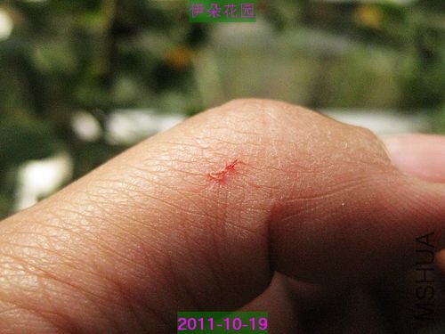 nEO_IMG_��Ƭ 019.jpg