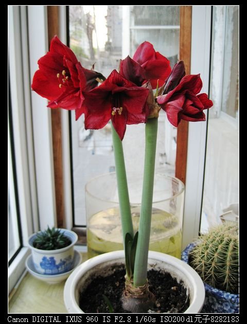 2010��5�� 049.jpg