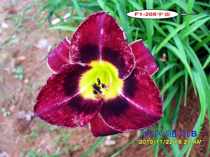 F1-208���� (3).jpg