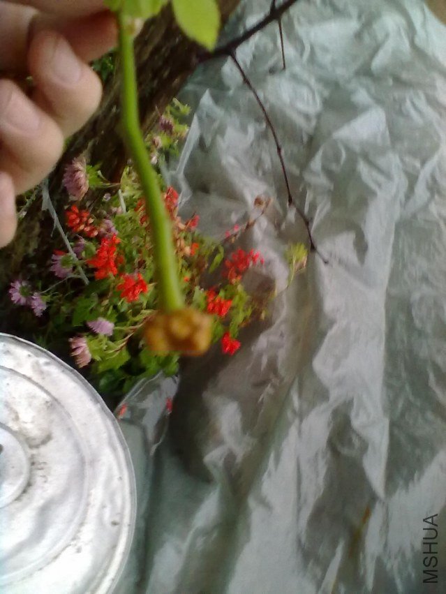 20111023056.jpg