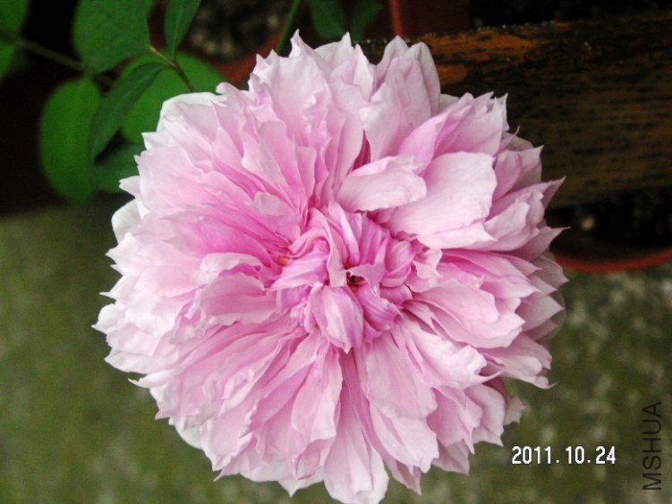 PICT0003.JPG