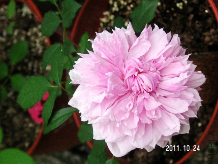 PICT0004.JPG