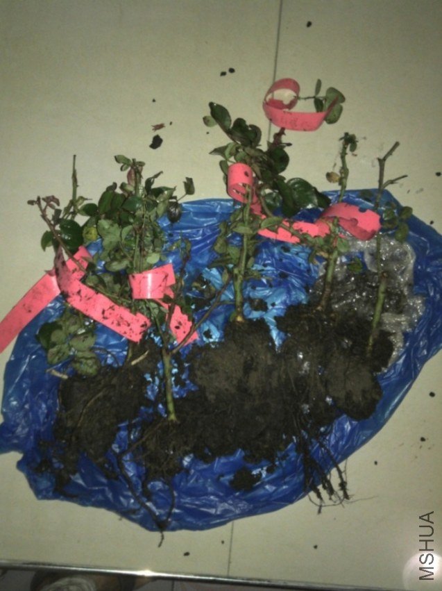 2011-10-24_17-52-20_6171.jpg