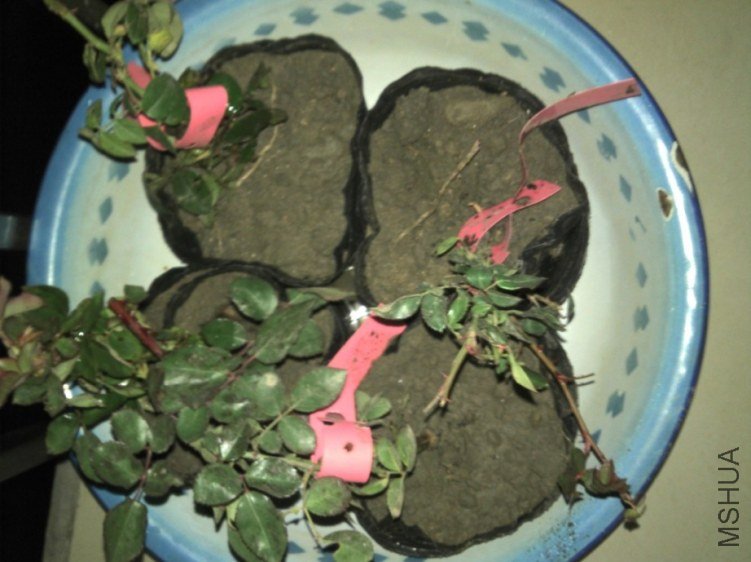 2011-10-24_18-22-19_3081.jpg