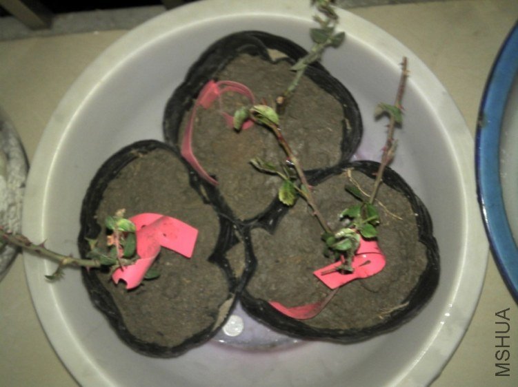 2011-10-24_18-22-24_6591.jpg