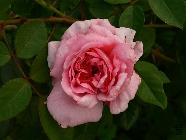 ���޹�.jpg