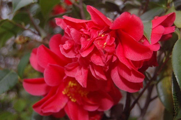 DSC_02700270.JPG