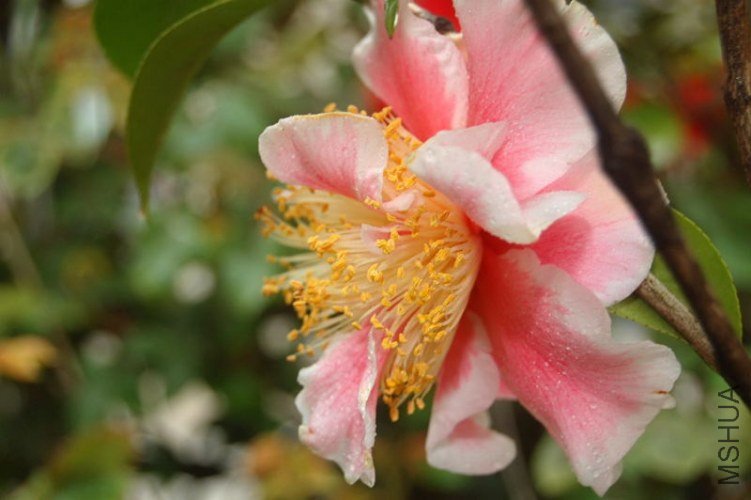 DSC_02120212.JPG