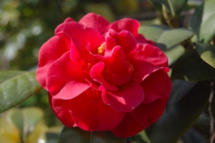 DSC_00040004.JPG