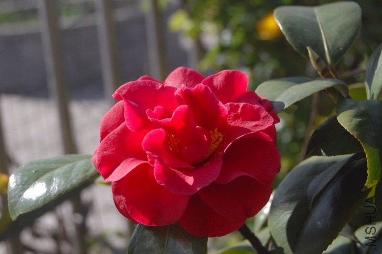 DSC_00030003.JPG