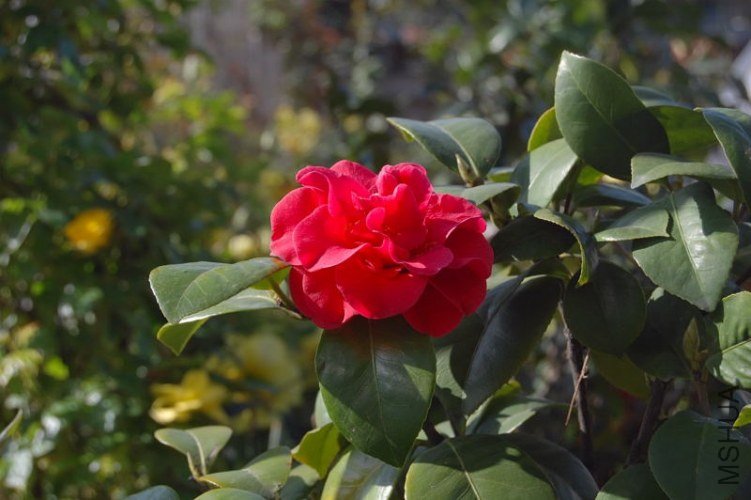DSC_00100010.JPG