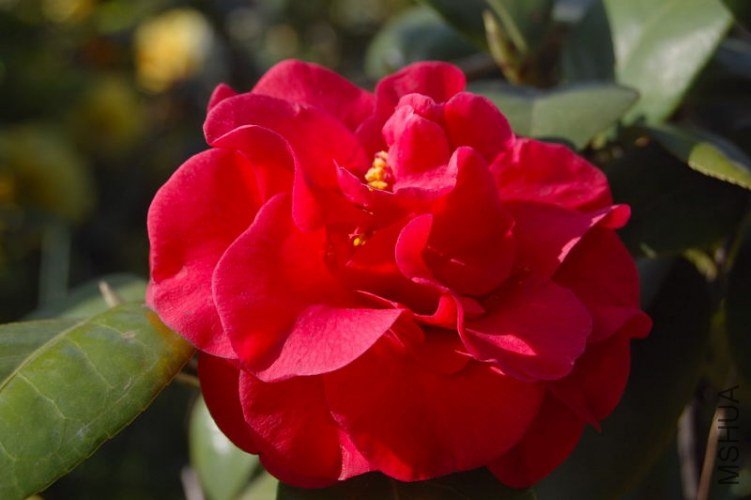 DSC_00130013.JPG