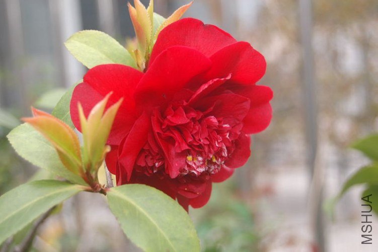 DSC_02210221.JPG