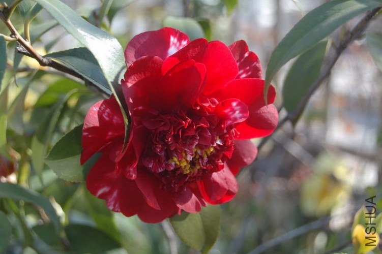 DSC_00140014.JPG