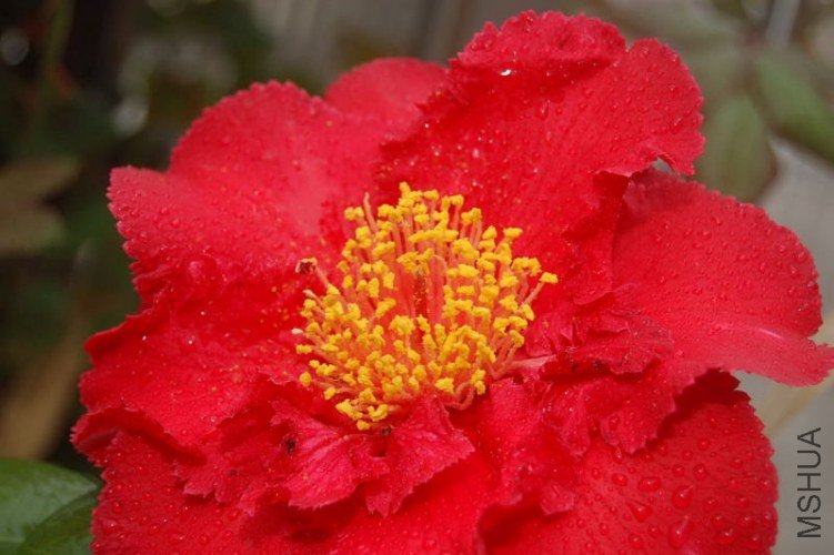 DSC_02060206.JPG