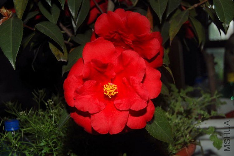 DSC_00210021.JPG
