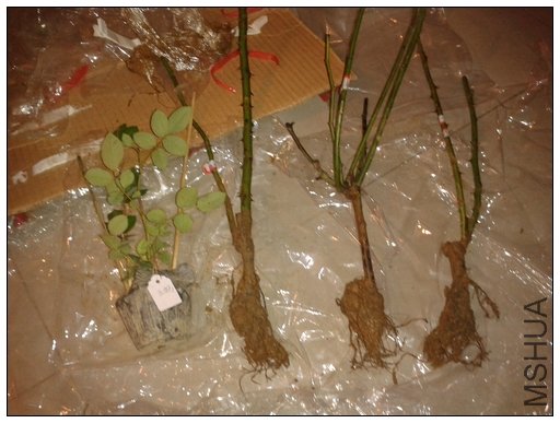 2011-10-24 23.10.42.jpg