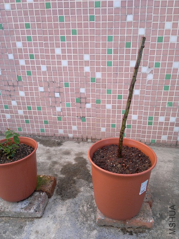 20111024035_����.jpg