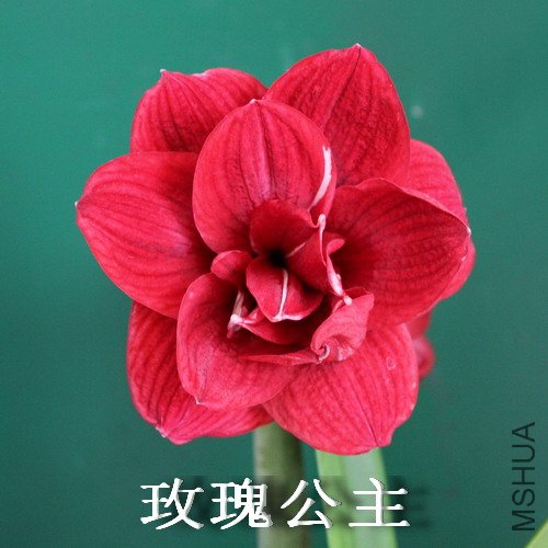 ����-õ�幫��.jpg