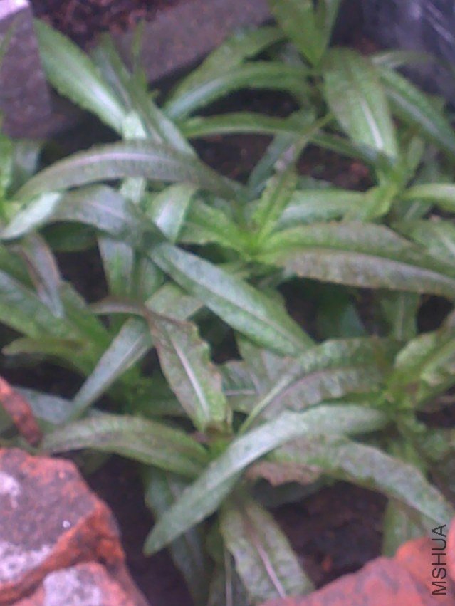 20111025272.jpg