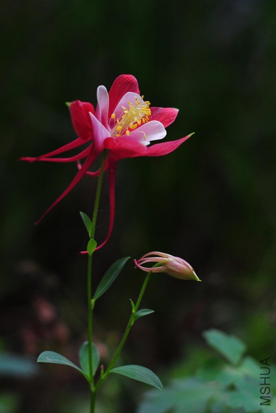 Table_DSC_0012.jpg