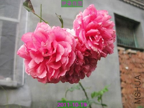 nEO_IMG_��Ƭ 048.jpg