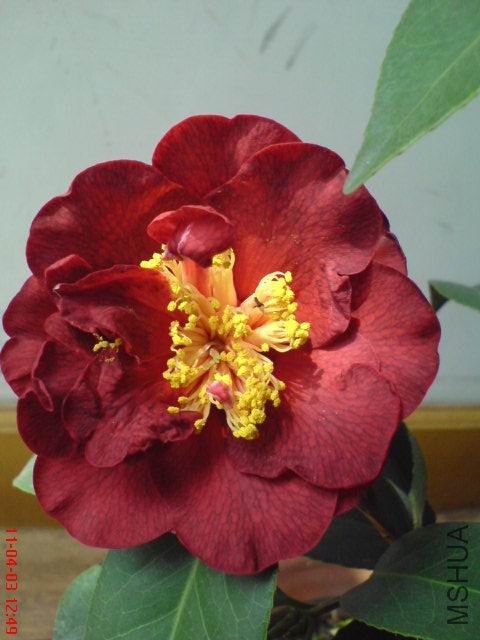 DSC00341.JPG