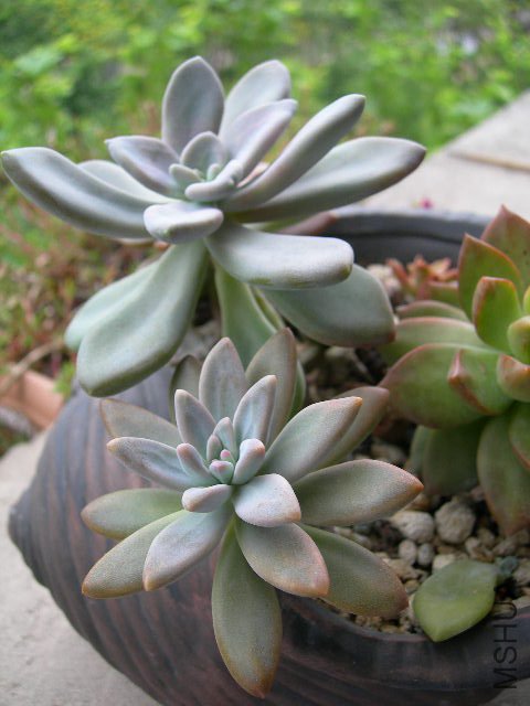 DSCN7301.JPG