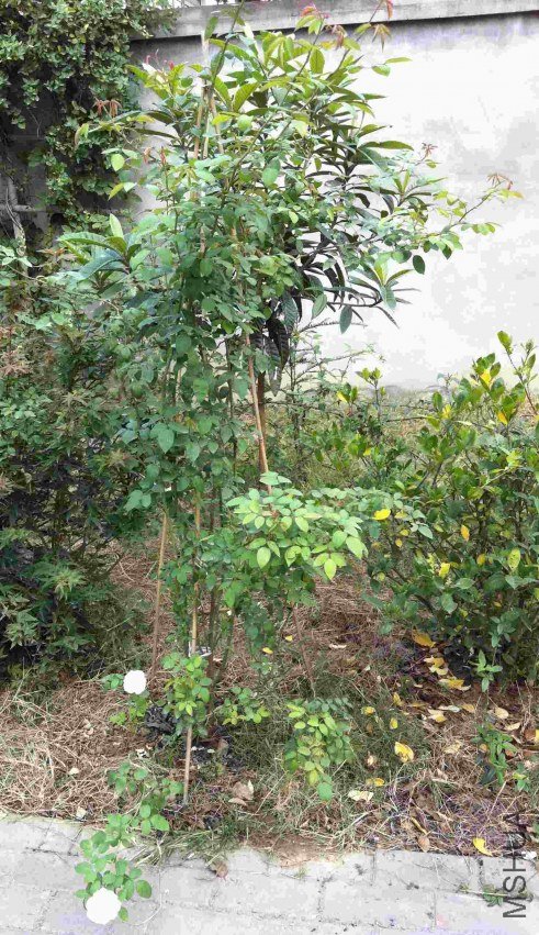 aaa20111026-061.jpg