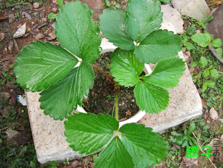 DSCF3003_����.jpg